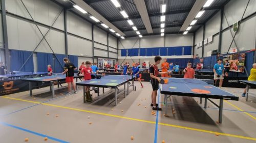 WhatsApp-Image-2025-08-13-at-12.25.41 800x450